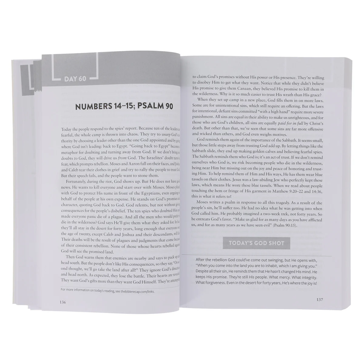 The Bible Recap (Paperback) - Image 5