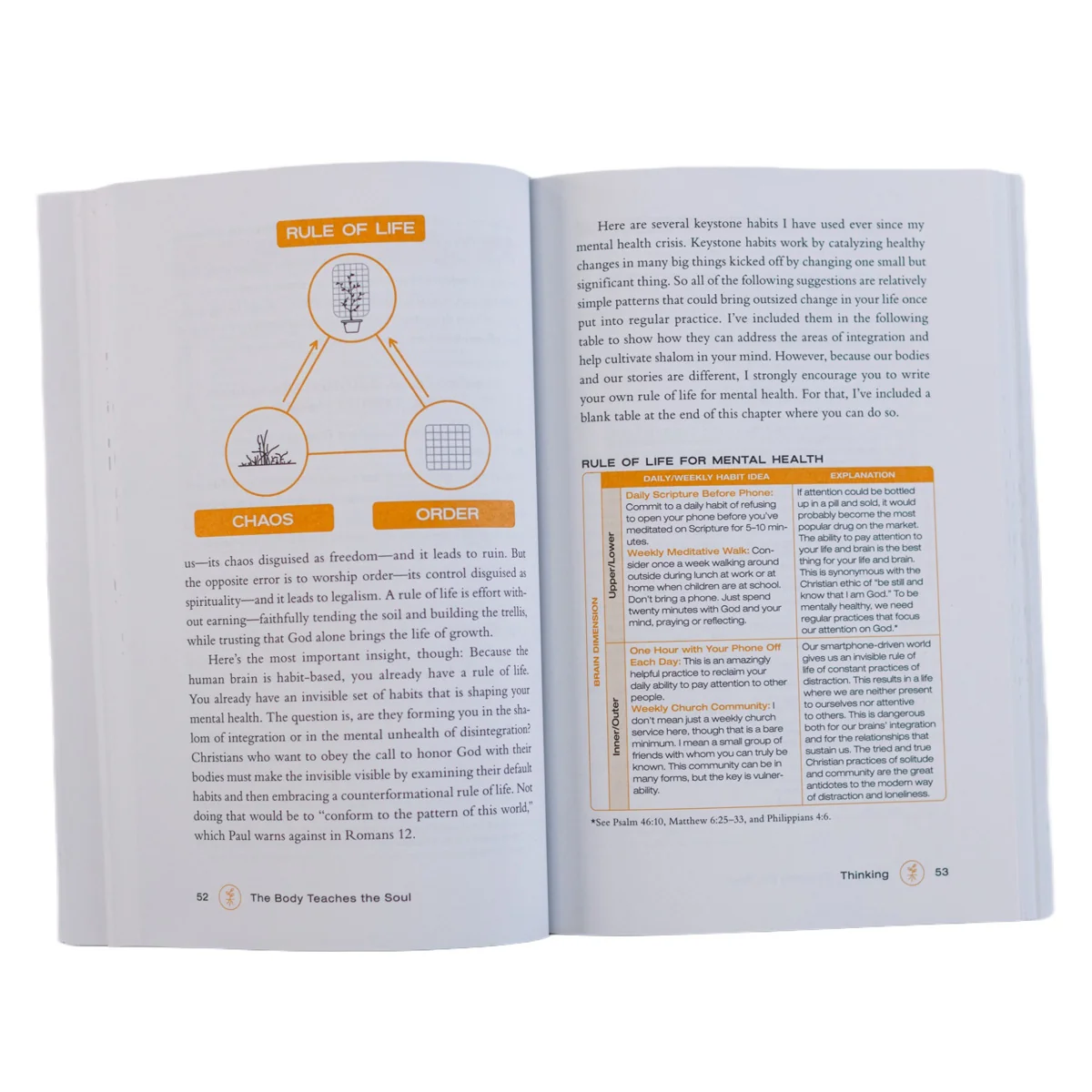 The Body Teaches the Soul: Ten Essential Habits to Form a Healthy and Holy Life PB - Image 4