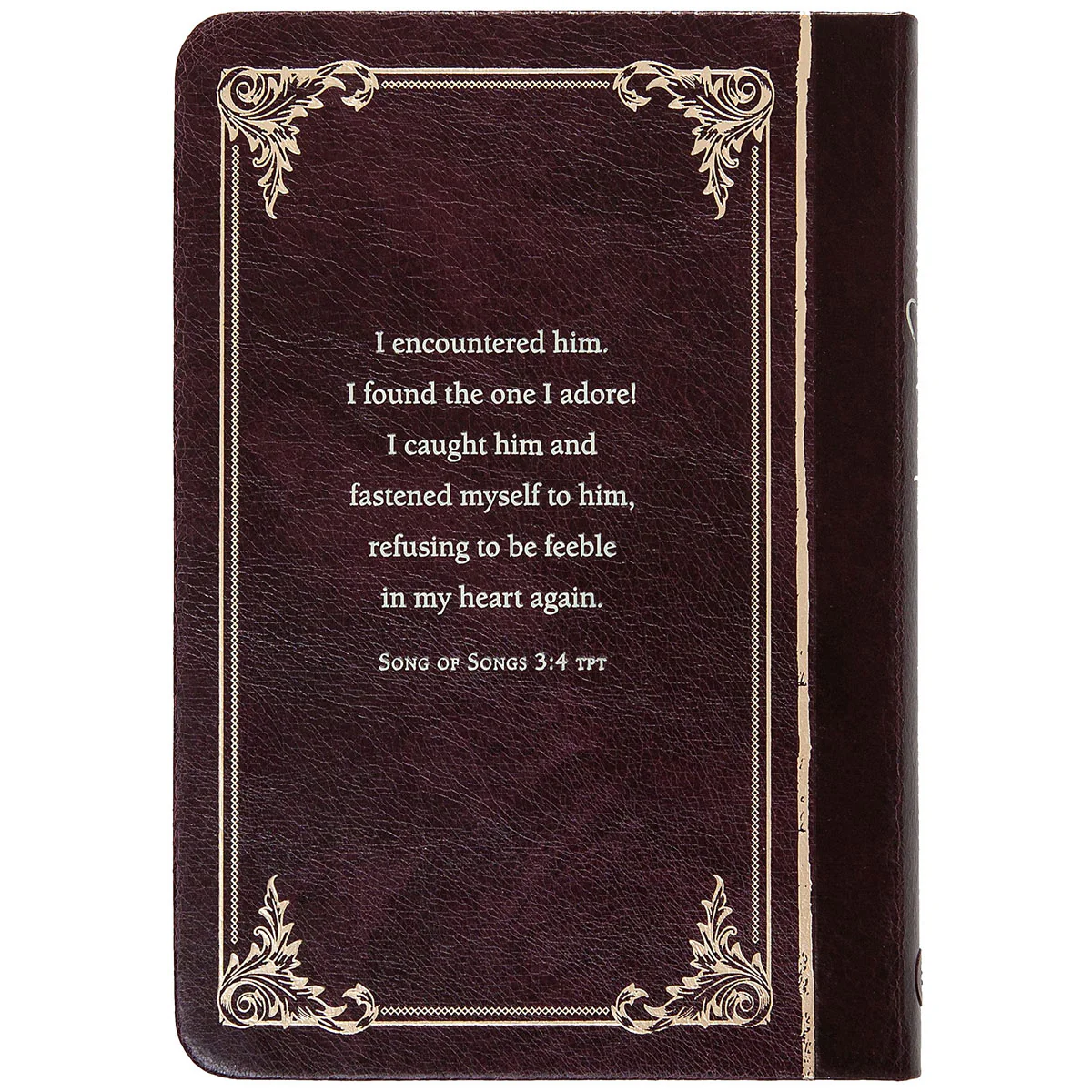 The Encounter: 40 Days Of Fasting With Jesus (Imitation Leather) - Image 2