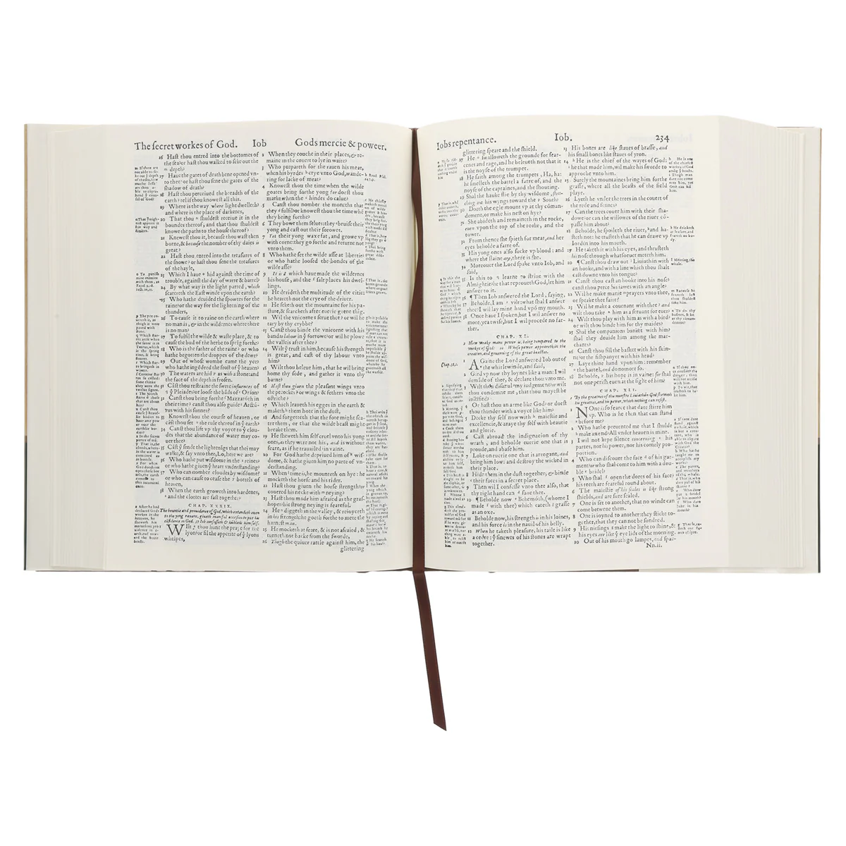 The Geneva Bible: The Bible of the Protestant Reformation 1560 Edition (Hardcover) - Image 4