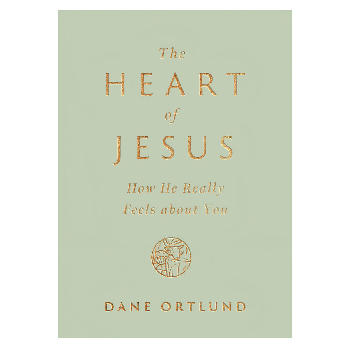 The Heart of Jesus: How He Really Feels about You (Paperback)