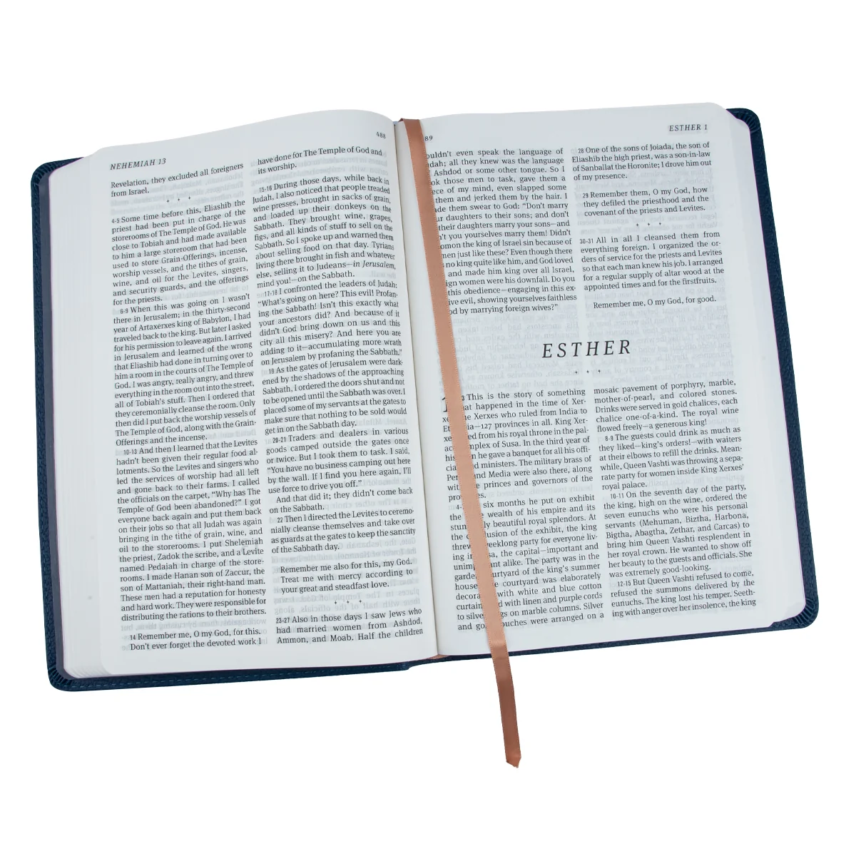 The Message Deluxe Gift: The Bible In Contemporary Language Large Print Navy (Imitation Leather) - Image 6