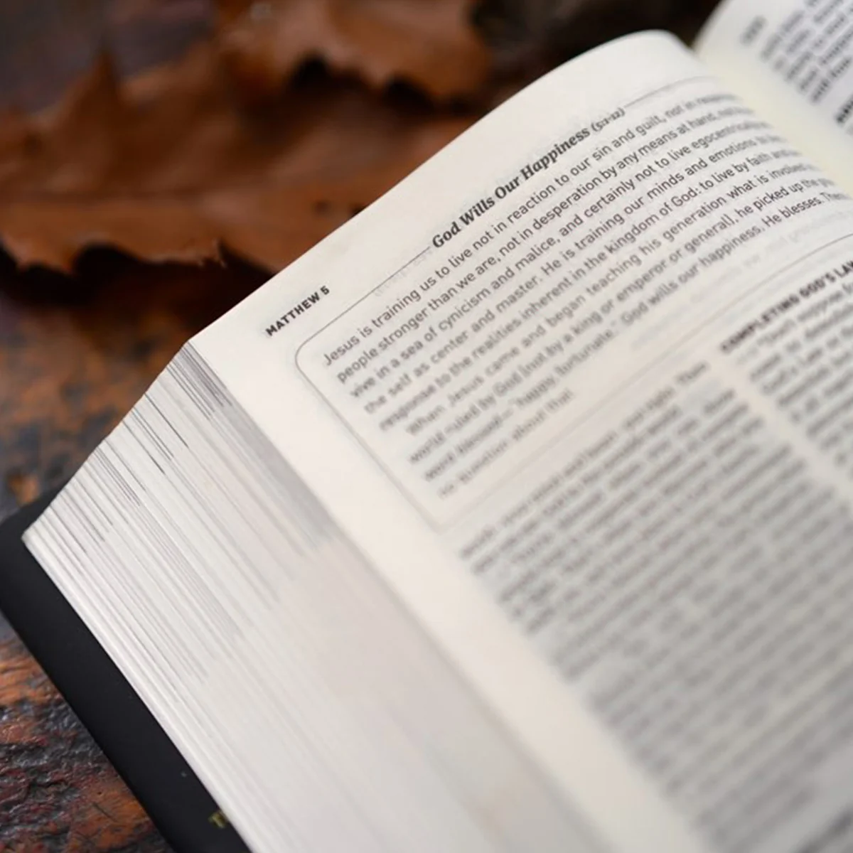 The Message Devotional Bible Large Print (Hardcover) - Image 6