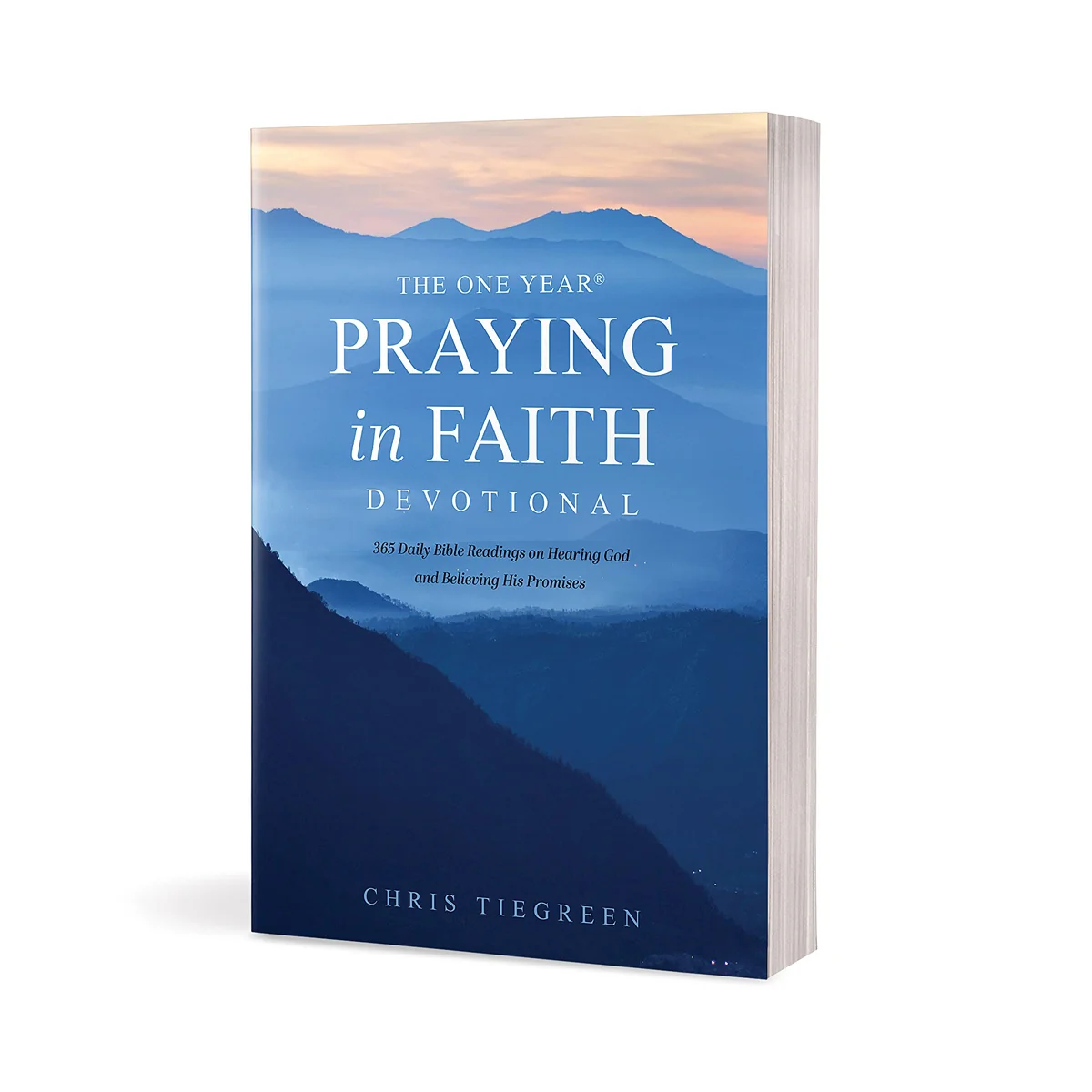 The One Year Praying In Faith Devotional (Paperback) - Image 2