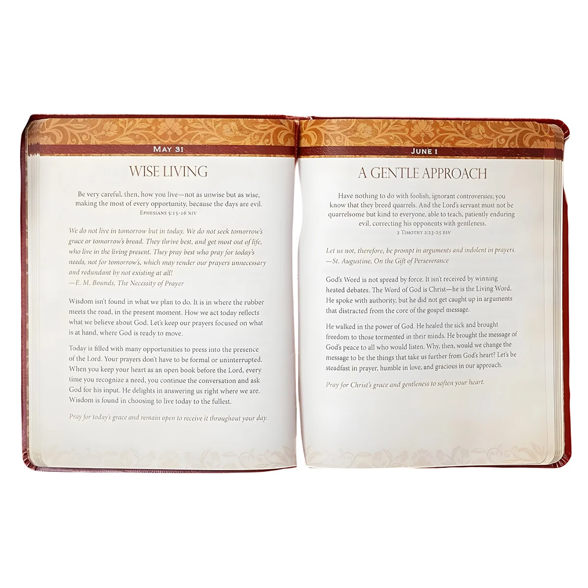 The Power of Prayer: 365 Daily Meditations Inspired by Spurgeon, Murray, Augustine IM - Image 2