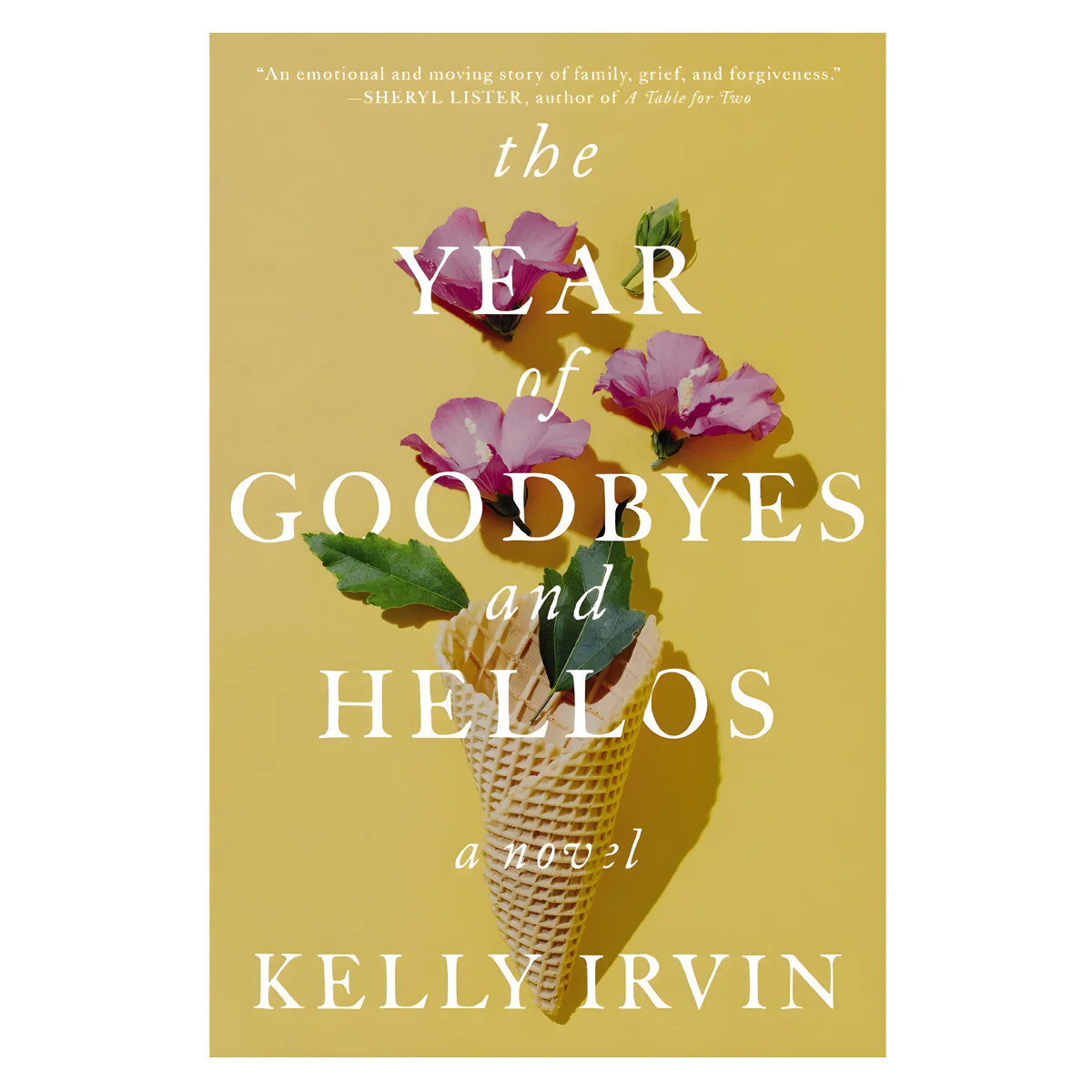 The Year of Goodbyes and Hellos: A Novel (Paperback)