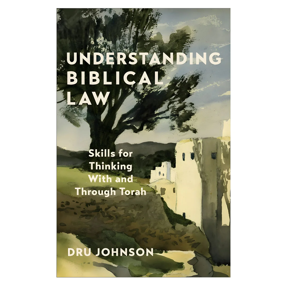 Understanding Biblical Law: Skills for Thinking with and Through Torah (Paperback)