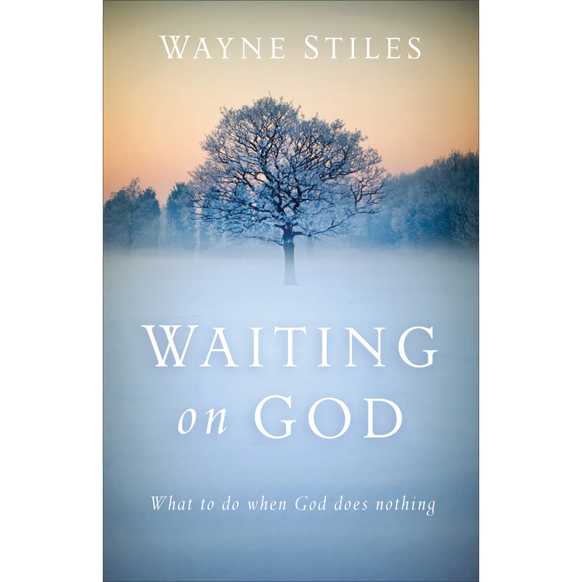 Waiting On God: What To Do When God Does Nothing (Paperback)