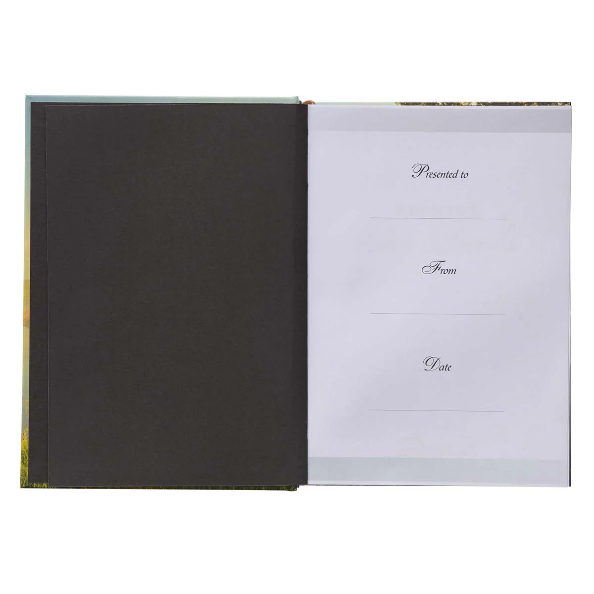 When The Day Breaks Pond (Padded Hardcover) - Image 3
