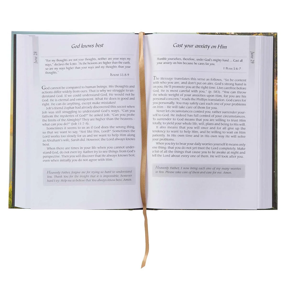 When The Day Breaks Pond (Padded Hardcover) - Image 4