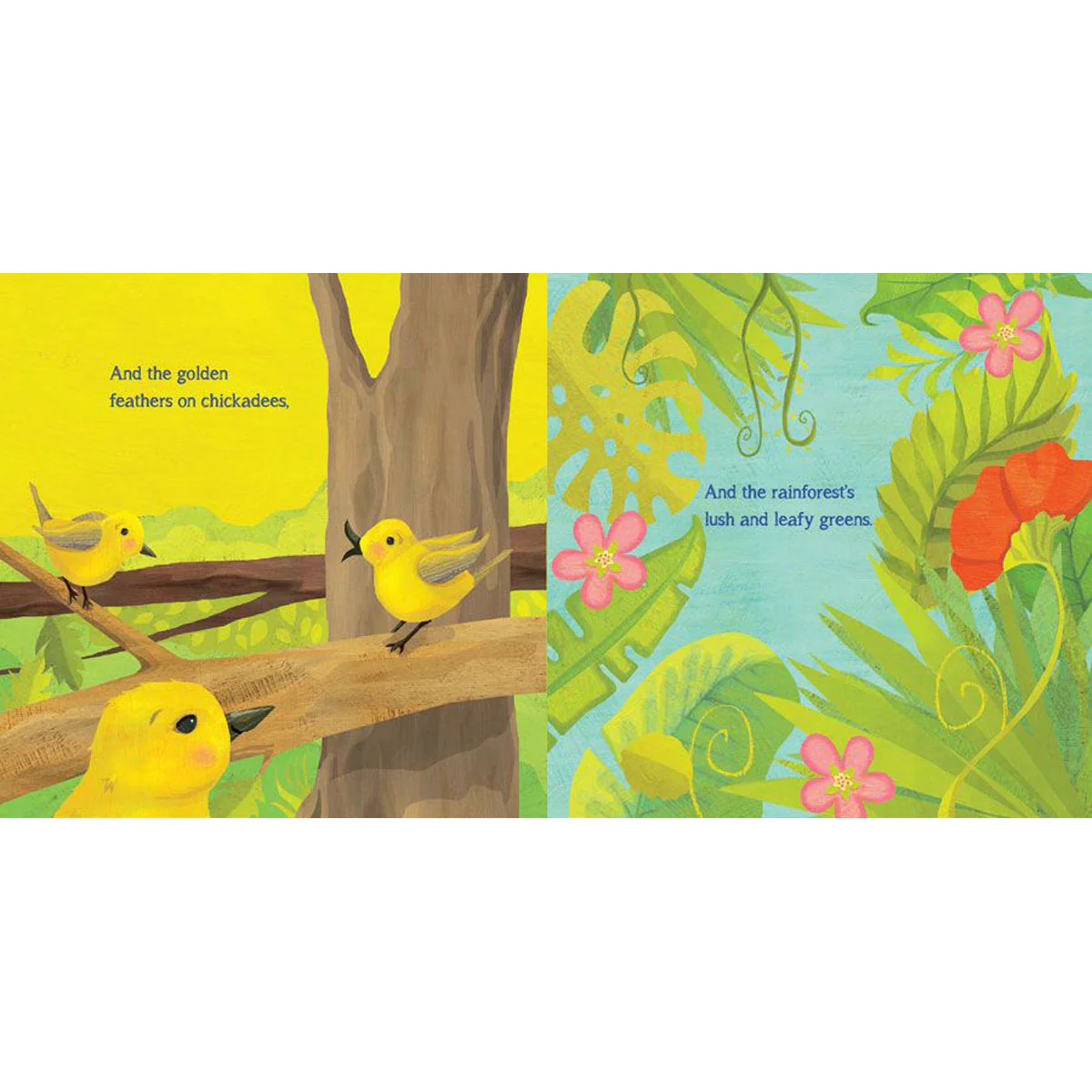 When You See A Rainbow (Board Book) - Image 4