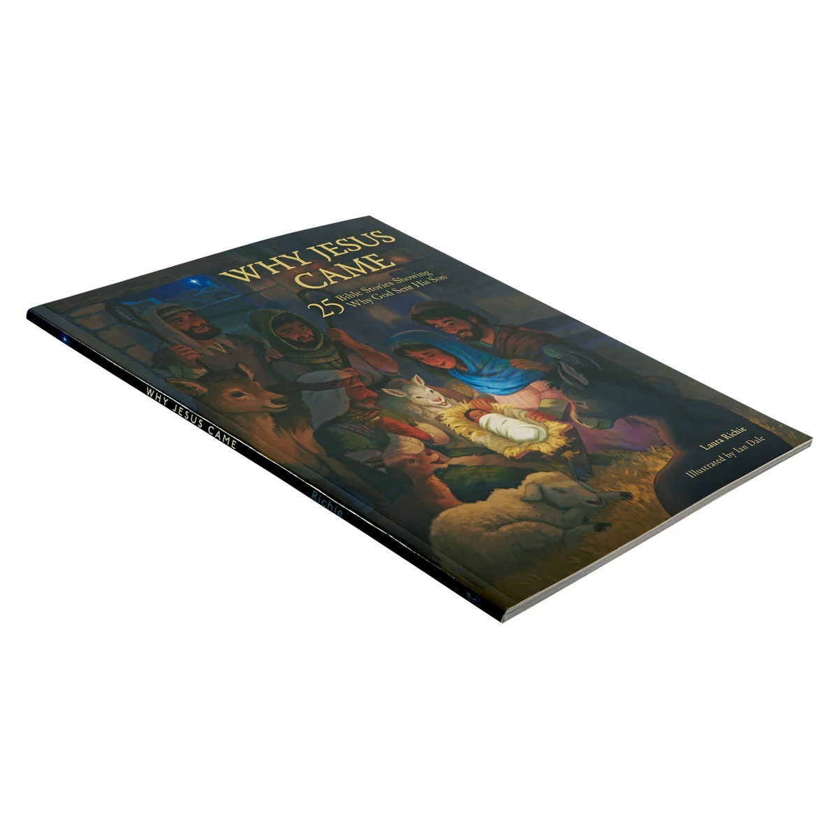 Why Jesus Came: 25 Bible Stories Showing Why God Sent His Son (Paperback) - Image 4