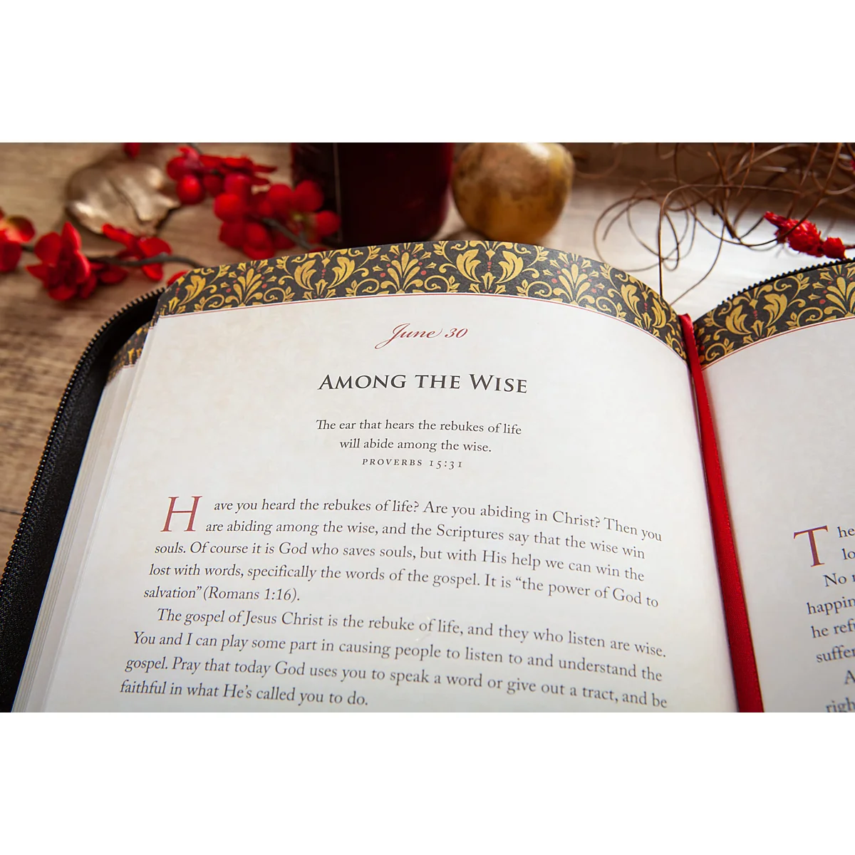Wisdom For Life Ziparound Devotional: 365 Daily Devotions From The Book Of Proverbs IM - Image 2